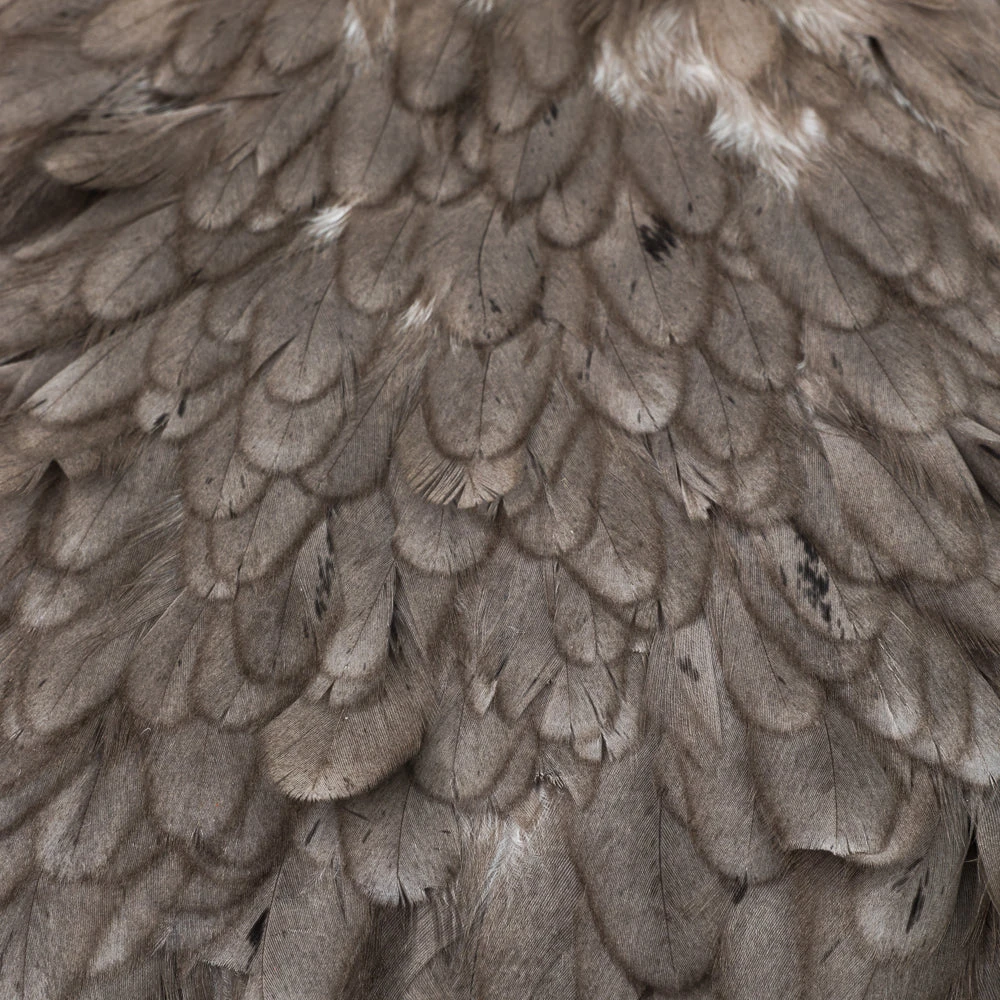 Nature's Spirit Whiting American Hen Saddles for Fly Tying | Premium Feathers & Hackle 14 Nature's Spirit Feathers & Hackle Whiting American Hen Saddles