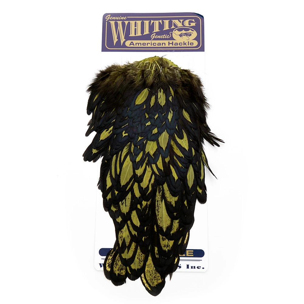 Nature's Spirit Whiting American Hen Saddles for Fly Tying | Premium Feathers & Hackle 17 Nature's Spirit Feathers & Hackle Whiting American Hen Saddles