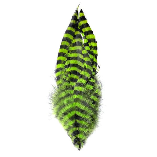 Montana Fly Company MFC Barred Schlappen Feathers & Hackle for Fly Tying 1 Montana Fly Company Feathers & Hackle MFC Barred Schlappen