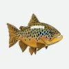 Remedy Provisions Brown Trout Football Gifts & Accessories