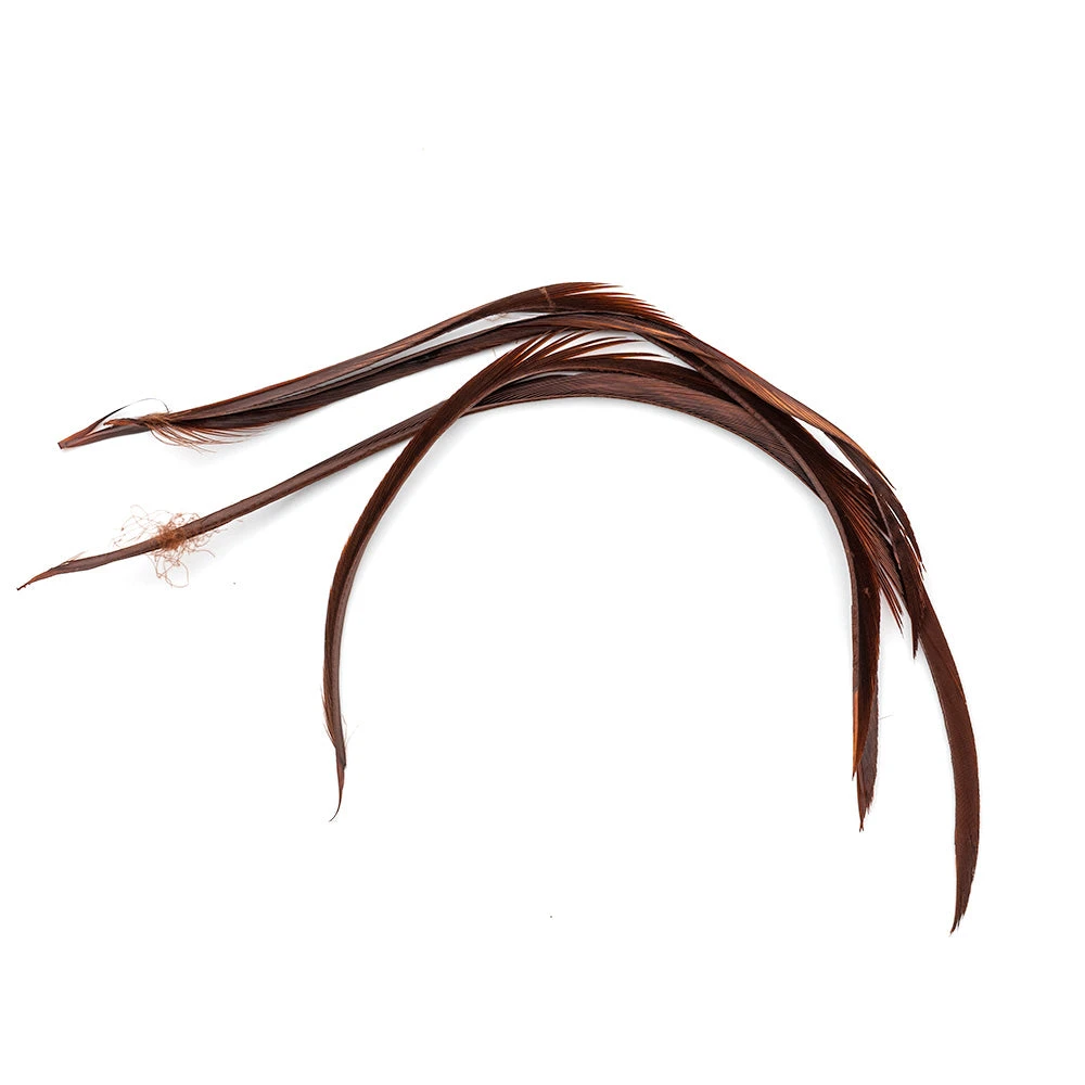 Wapsi Fly Goose Biots - Premium Fly Tying Feathers for Realistic Fly Patterns 1 Wapsi Fly Goose Biots