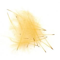 Wapsi Fly Feathers & Hackle CDC Feathers for Fly Tying | Premium Quality 5 Wapsi Fly Feathers & Hackle CDC Feathers