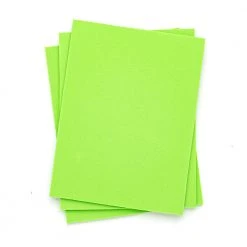 Nature's Spirit Bug Foam