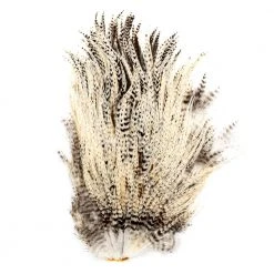 The Northern Angler Fly Shop AuSable Hackle Company Capes