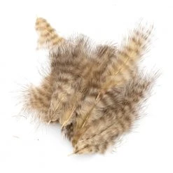 Wapsi Fly Grizzly Marabou Feathers & Hackle