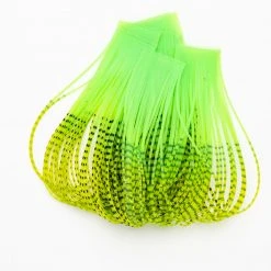 Wapsi Fly Fire Tipped Sili Legs Chenille, Braid & Body Materials