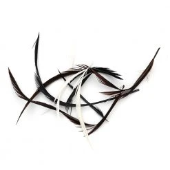 Hareline Dubbin UV2 Goose Biots - Premium Feathers & Hackle for Fly Tying 7 Hareline Dubbin Feathers & Hackle UV2 Goose Biots