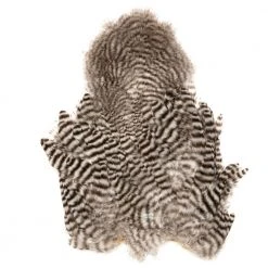 Nature's Spirit Whiting Soft Hackle With Chickabou Feathers & Hackle