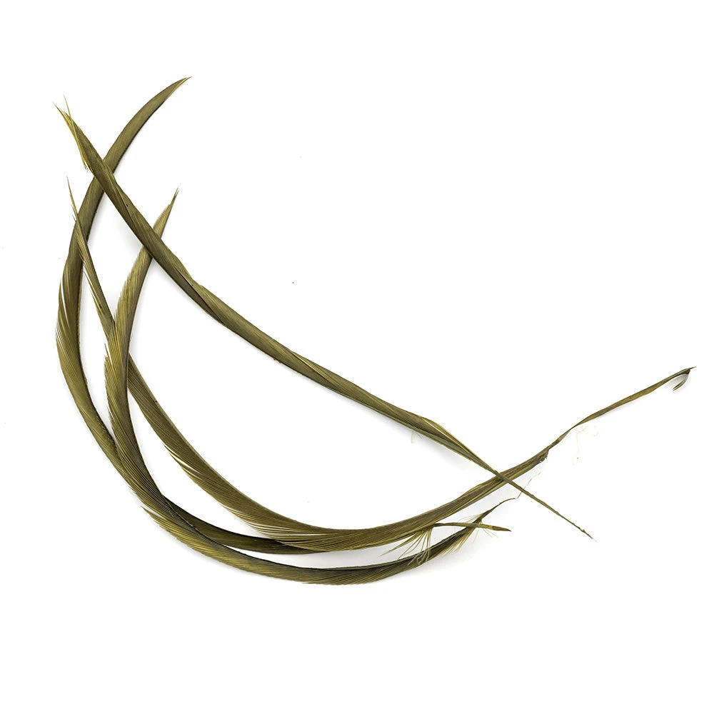 Wapsi Fly Goose Biots - Premium Fly Tying Feathers for Realistic Fly Patterns 3 Wapsi Fly Goose Biots