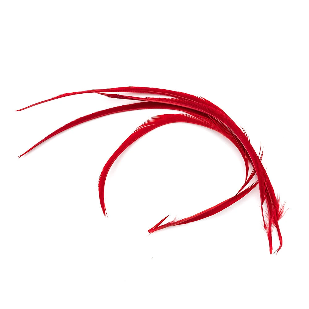 Wapsi Fly Goose Biots - Premium Fly Tying Feathers for Realistic Fly Patterns 4 Wapsi Fly Goose Biots