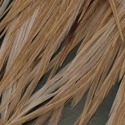 Umpqua Feather Merchants Metz #2 Saddle