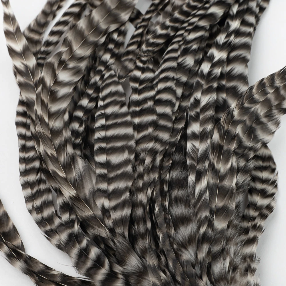 Nature's Spirit Whiting Schlappen Feather Bundles for Fly Tying | Premium Quality Hackle 4 Nature's Spirit Feathers & Hackle Whiting Schlappen Bundles