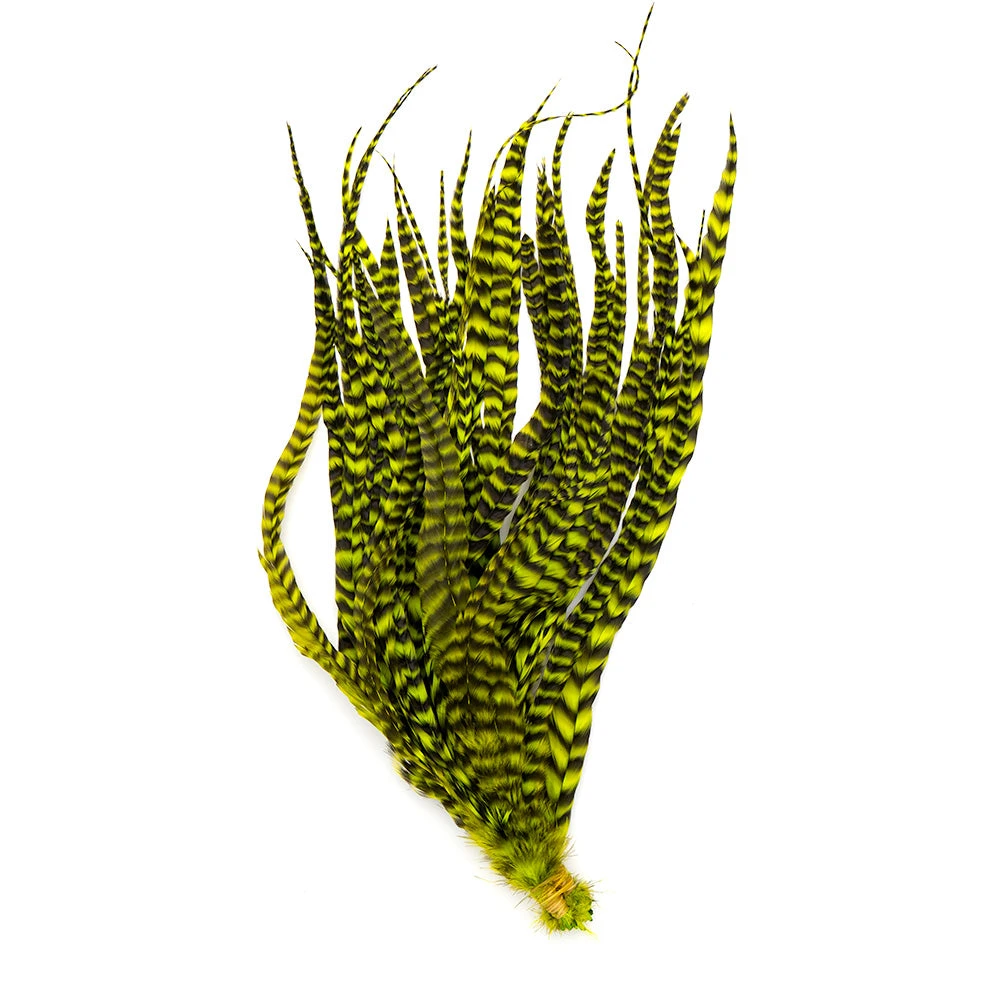 Nature's Spirit Whiting Schlappen Feather Bundles for Fly Tying | Premium Quality Hackle 12 Nature's Spirit Feathers & Hackle Whiting Schlappen Bundles