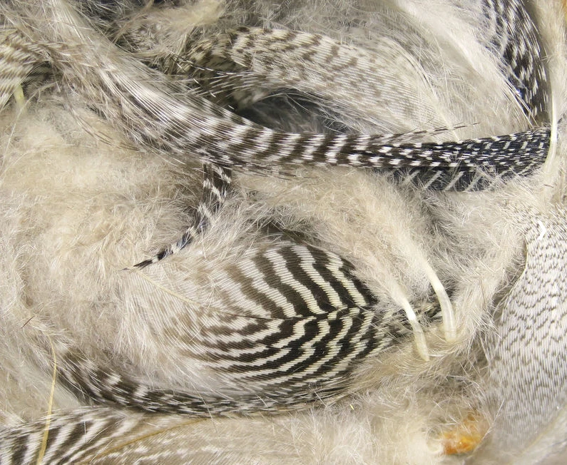 Hareline Dubbin Teal Flank Feathers for Fly Tying - Premium Quality Feathers & Hackle 2 Hareline Dubbin Teal Flank Feathers Feathers & Hackle