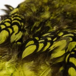 Nature's Spirit Whiting Soft Hackle With Chickabou Feathers & Hackle