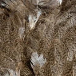 Nature's Spirit Whiting Soft Hackle With Chickabou Feathers & Hackle