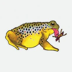 Remedy Provisions Toad Brown Trout Gifts & Accessories