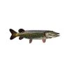 Boneyard Fly Gear Pike Decal Gifts & Accessories