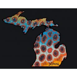 DeYoung Studio DeYoung Michigan Flank Decals