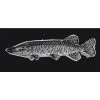 DeYoung Studio DeYoung Musky Sketch Decal