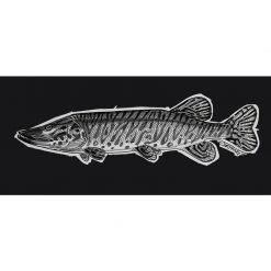 DeYoung Studio DeYoung Musky Sketch Decal