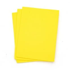 Nature's Spirit Bug Foam