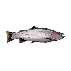 Boneyard Fly Gear Gifts & Accessories Boneyard Fish Decals