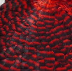 Nature's Spirit Whiting American Hen Saddles for Fly Tying | Premium Feathers & Hackle 30 Nature's Spirit Feathers & Hackle Whiting American Hen Saddles