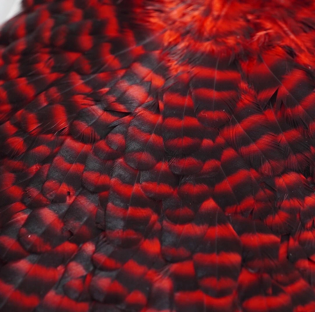 Nature's Spirit Whiting American Hen Saddles for Fly Tying | Premium Feathers & Hackle 12 Nature's Spirit Feathers & Hackle Whiting American Hen Saddles