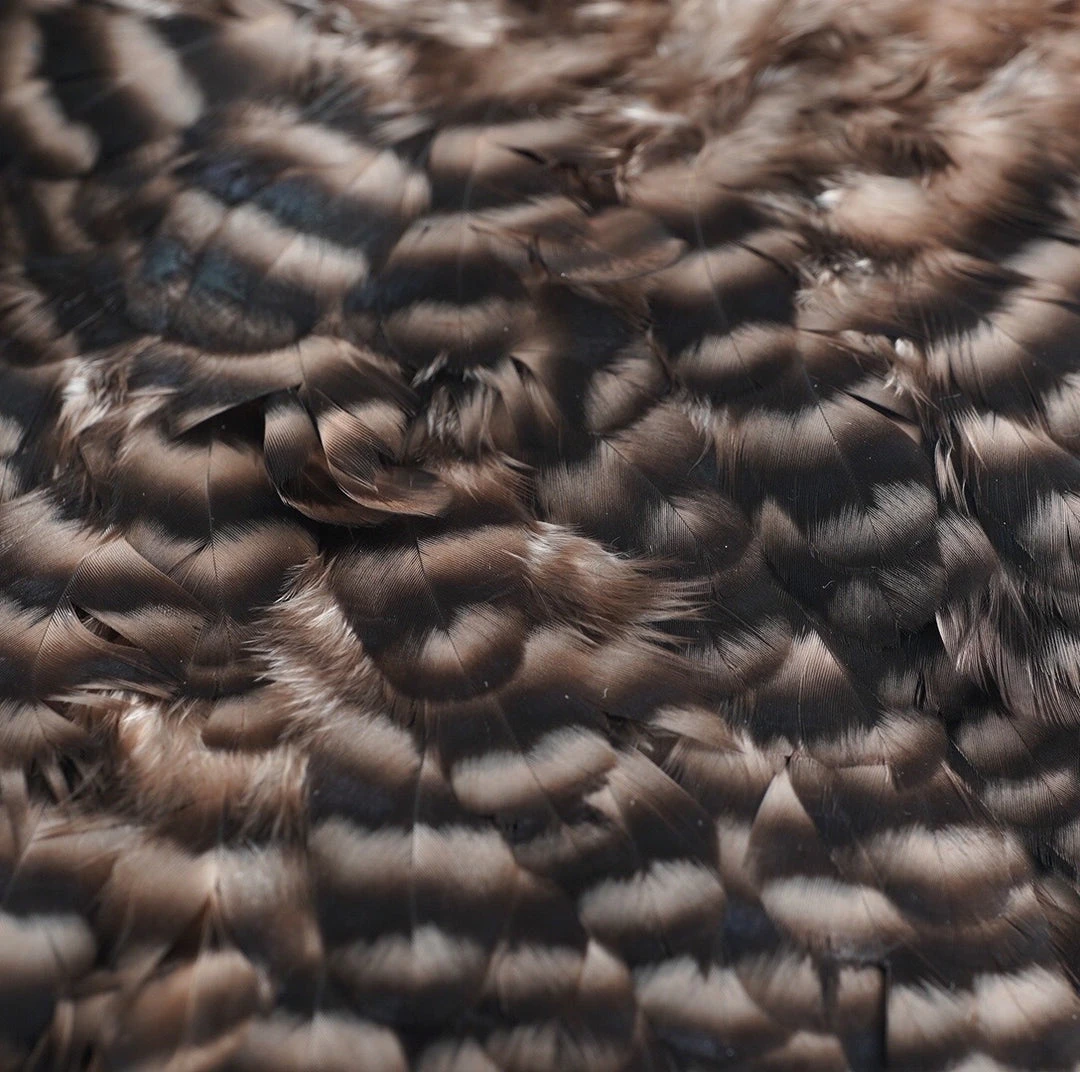 Nature's Spirit Whiting American Hen Saddles for Fly Tying | Premium Feathers & Hackle 7 Nature's Spirit Feathers & Hackle Whiting American Hen Saddles