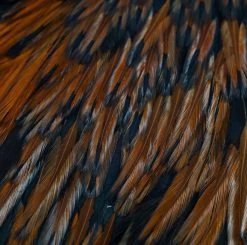 Nature's Spirit Feathers & Hackle Whiting American Rooster Saddles