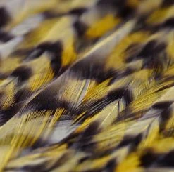 Nature's Spirit Feathers & Hackle Whiting American Rooster Saddles