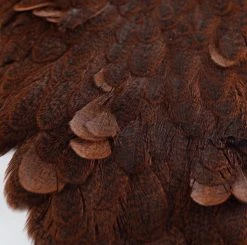 Nature's Spirit Whiting Brahma Hen Saddles With Chickabou Feathers & Hackle