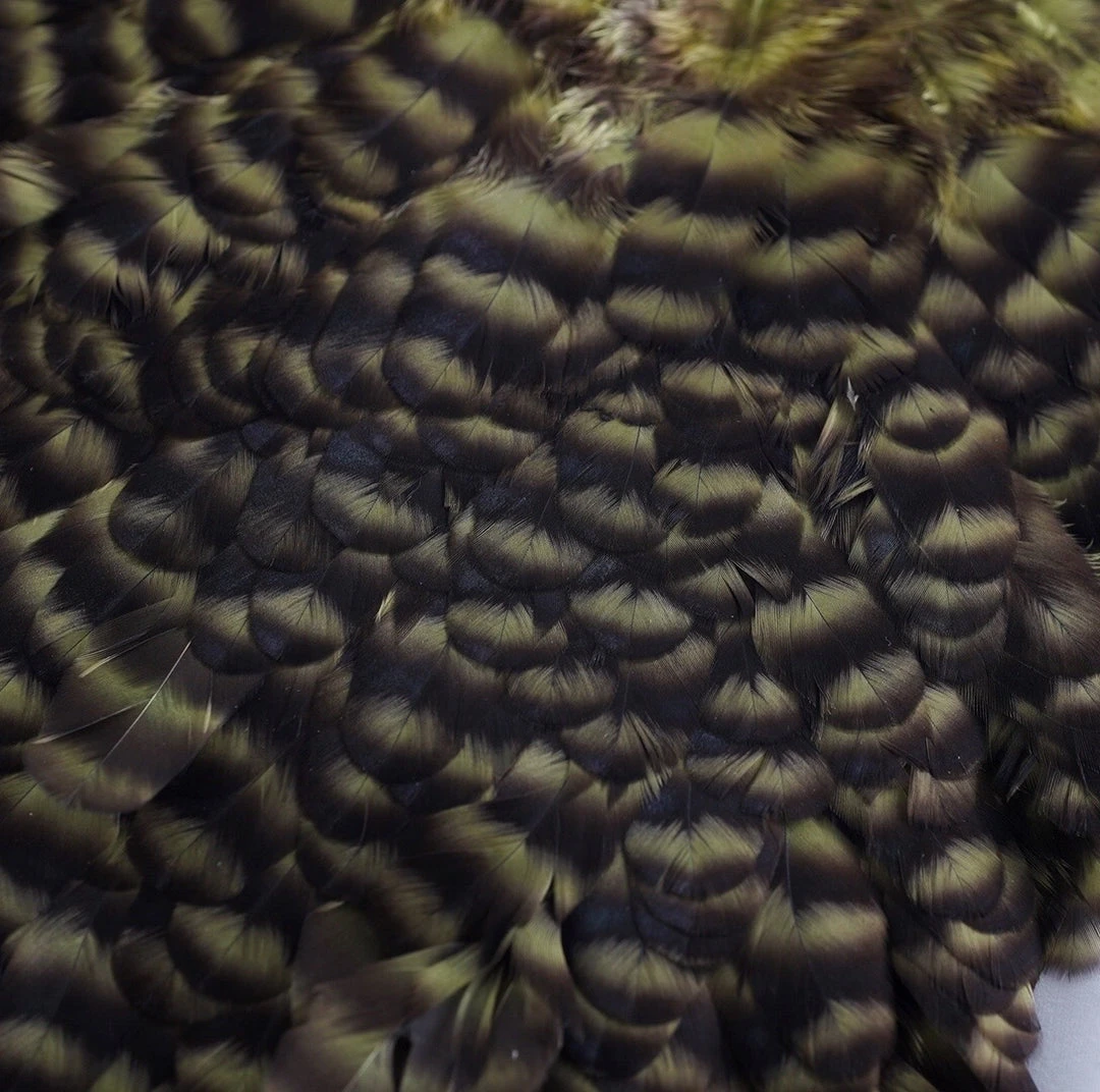 Nature's Spirit Whiting American Hen Saddles for Fly Tying | Premium Feathers & Hackle 6 Nature's Spirit Feathers & Hackle Whiting American Hen Saddles