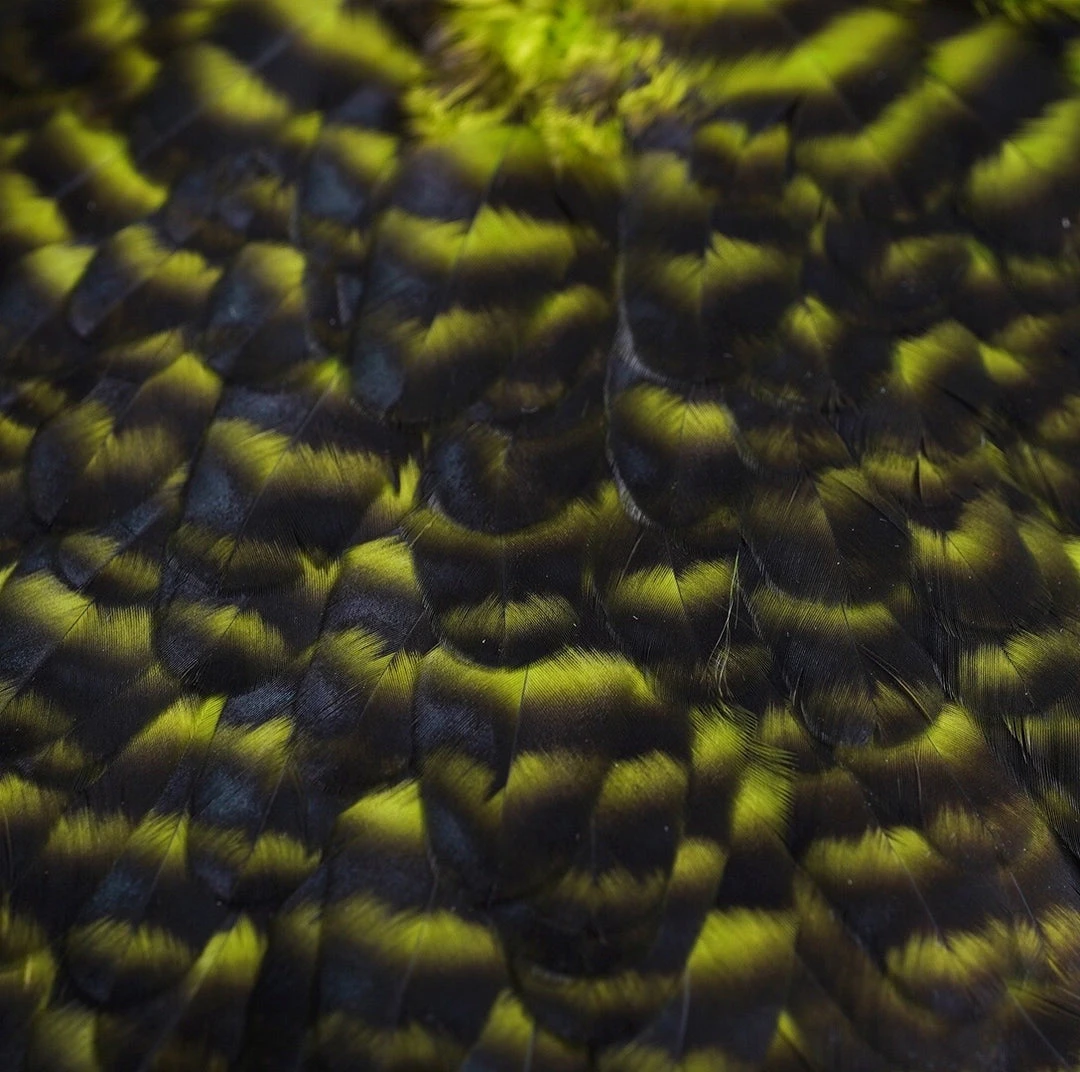 Nature's Spirit Whiting American Hen Saddles for Fly Tying | Premium Feathers & Hackle 9 Nature's Spirit Feathers & Hackle Whiting American Hen Saddles