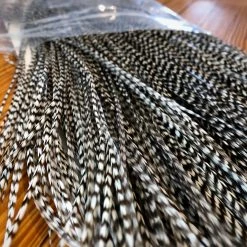 Nature's Spirit Whiting Pro Grade Saddles Feathers & Hackle for Fly Tying | Premium Quality 7 Nature's Spirit Whiting Pro Grade Saddles Feathers & Hackle