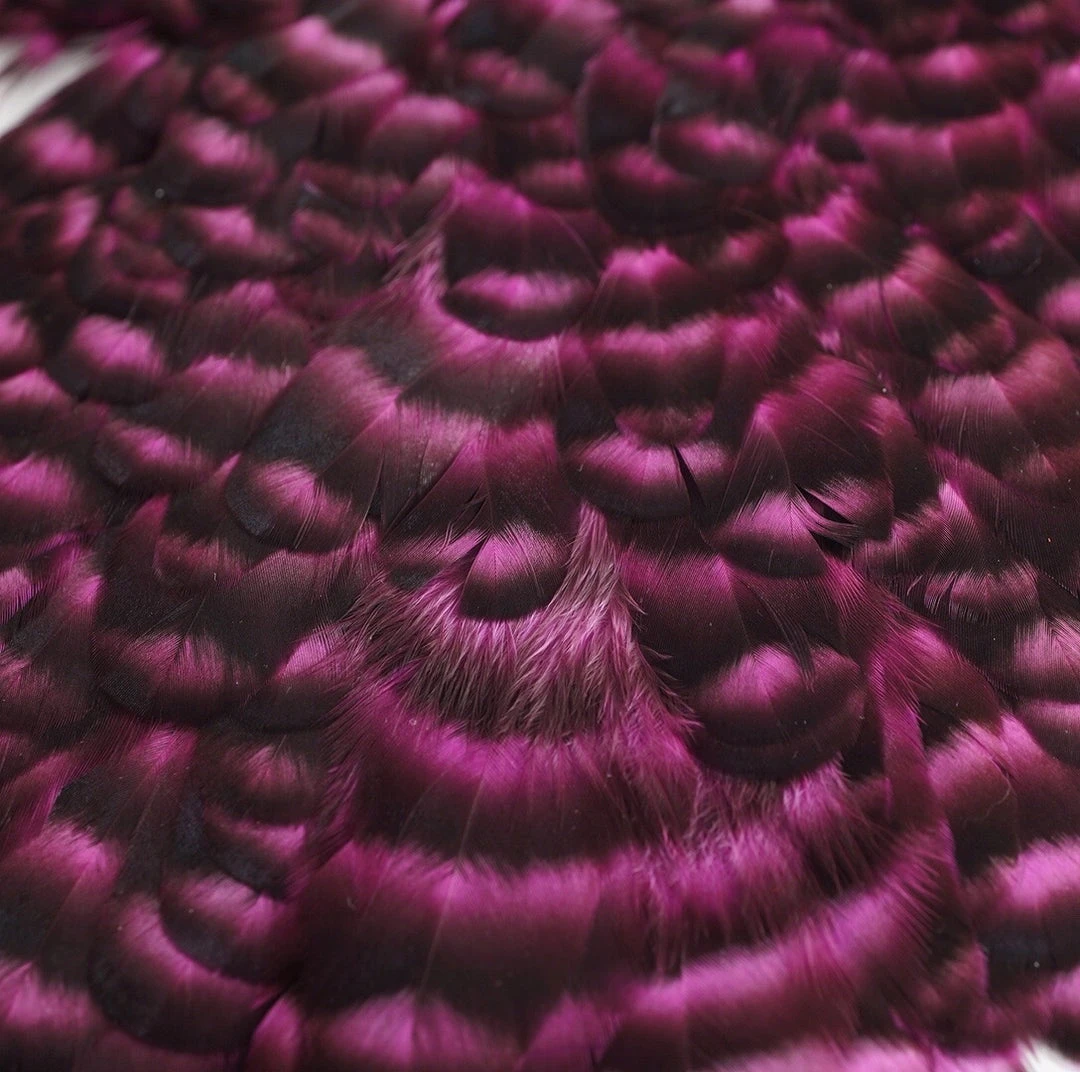 Nature's Spirit Whiting American Hen Saddles for Fly Tying | Premium Feathers & Hackle 8 Nature's Spirit Feathers & Hackle Whiting American Hen Saddles