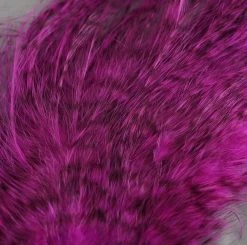 Nature's Spirit Feathers & Hackle Whiting Bird Fur