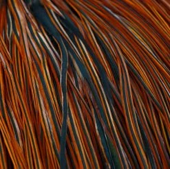 Nature's Spirit Whiting Pro Grade Saddles Feathers & Hackle for Fly Tying | Premium Quality 8 Nature's Spirit Whiting Pro Grade Saddles Feathers & Hackle