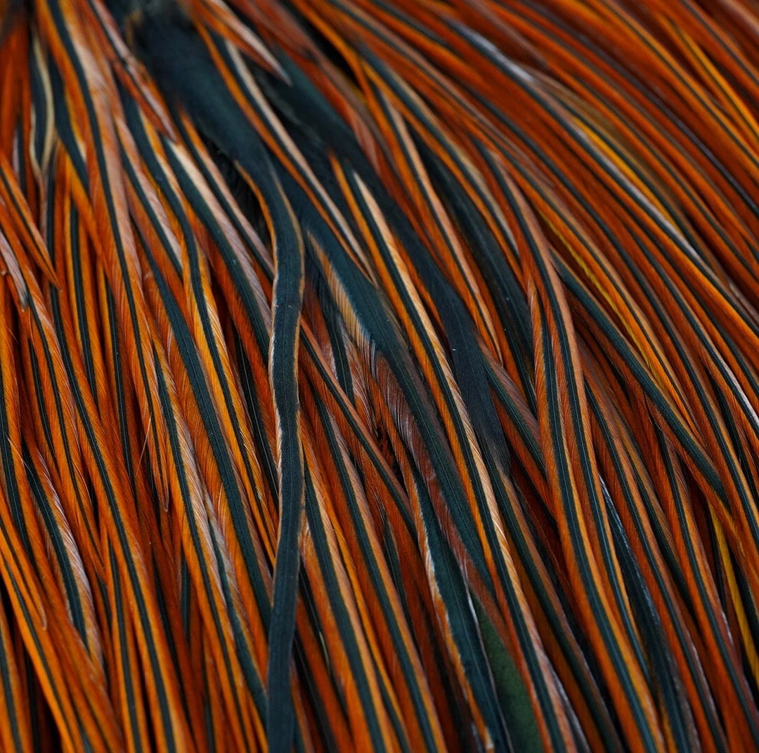 Nature's Spirit Whiting Pro Grade Saddles Feathers & Hackle for Fly Tying | Premium Quality 4 Nature's Spirit Whiting Pro Grade Saddles Feathers & Hackle