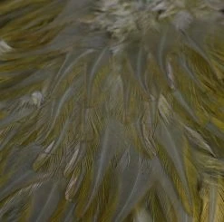 Nature's Spirit Feathers & Hackle Whiting American Rooster Saddles