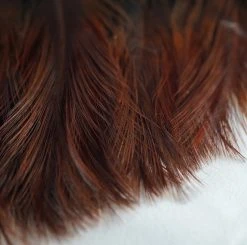 Nature's Spirit Whiting CDL Tailing Packs Feathers & Hackle