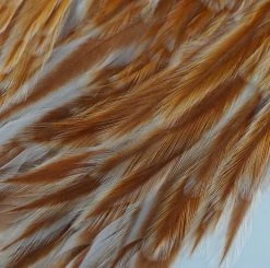 Nature's Spirit Feathers & Hackle Whiting American Rooster Saddles
