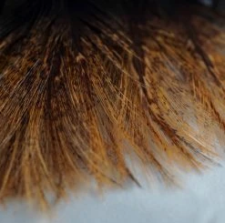 Nature's Spirit Whiting CDL Tailing Packs Feathers & Hackle