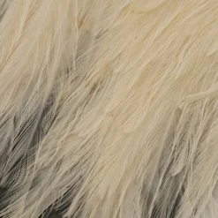 Umpqua Feather Merchants Feathers & Hackle Metz #2 Magnum Saddle