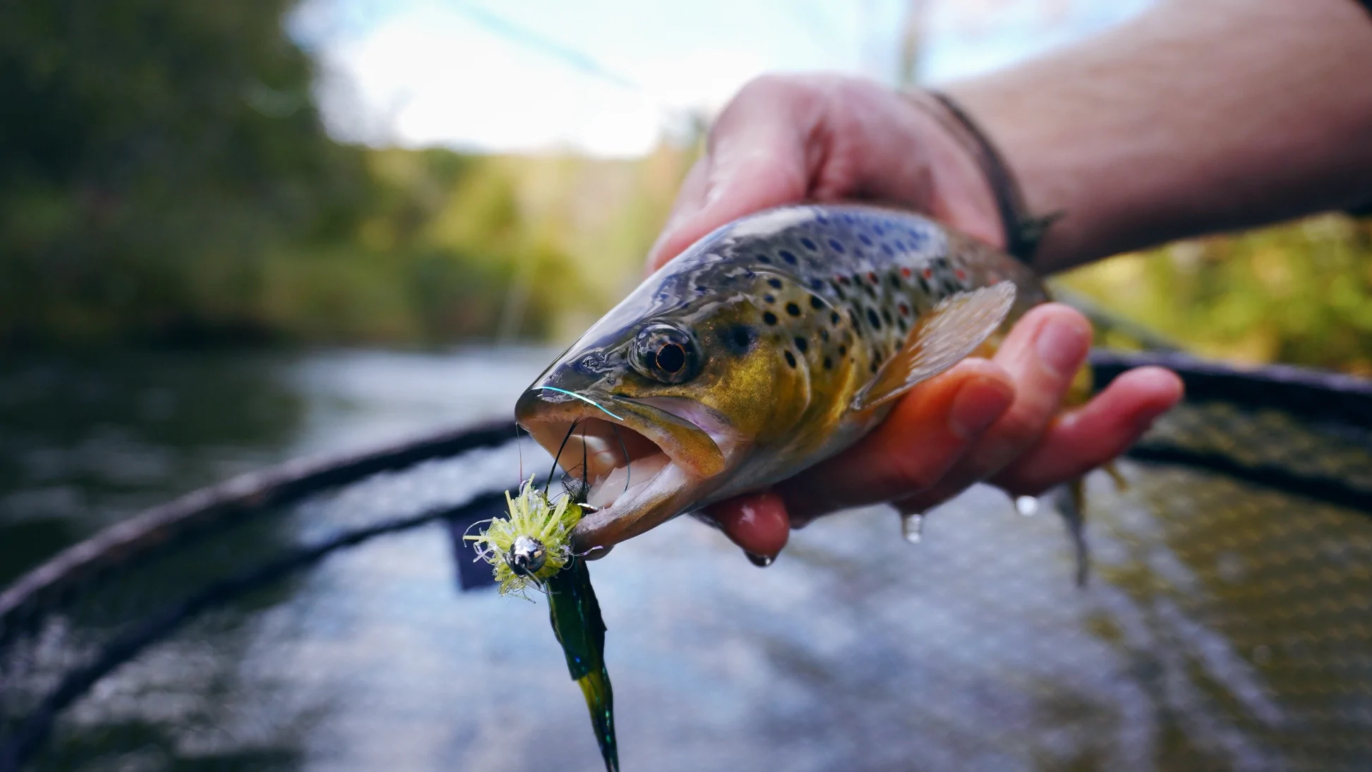 The Northern Angler Fly Shop 2 The Northern Angler Fly Shop -The Northern Angler Fly Shop Streamer Web 85ca9ab5 5e01 44bb a5bb